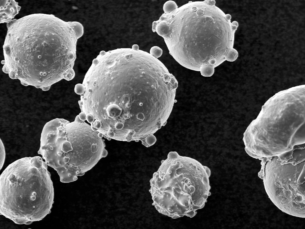 Charakterisierung und chemische Zusammensetzung des Ausgangspulvers