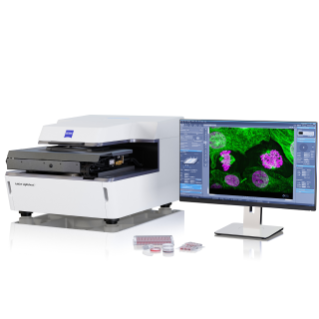 Vorschaubild von Lattice Lightsheet 7 - Sample Preparation