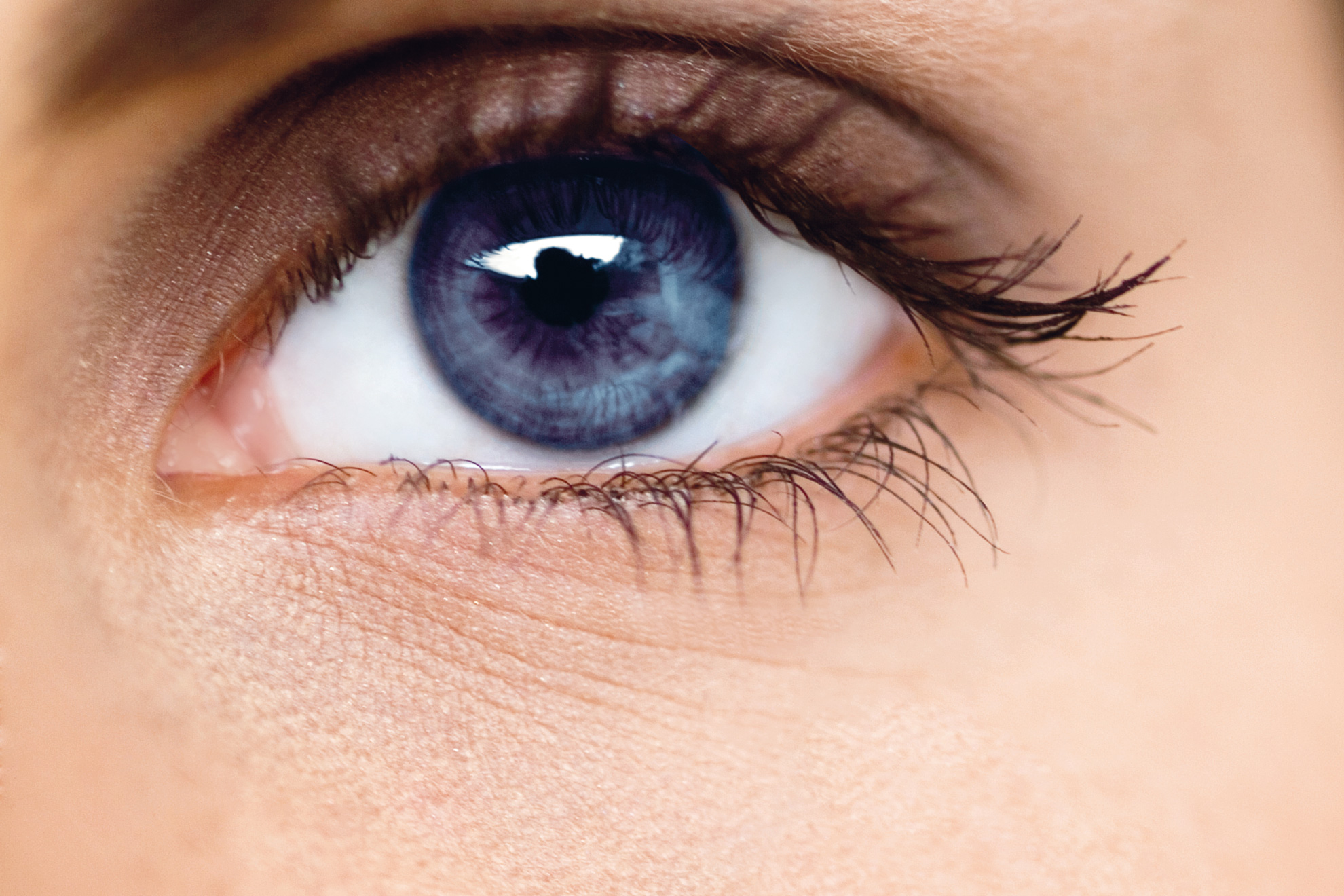 Workout f r Ihre Augen Workout f r Ihre Augen